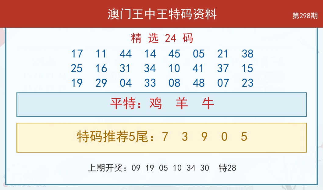 王中王特码资料